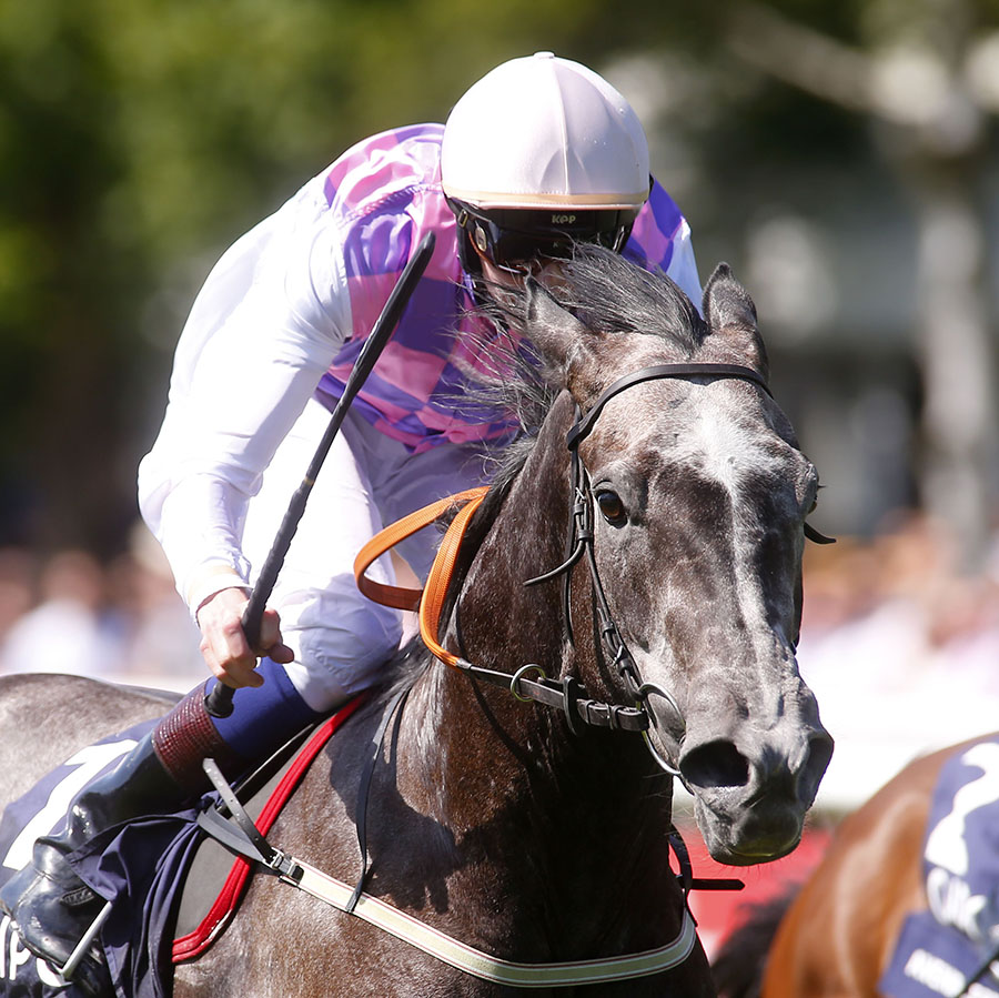 Amazing Maria Lockinge Splash