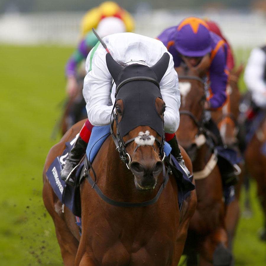 Flying Officer and Frankie Dettori winning The Qipco British Champions Long Distance Cup
