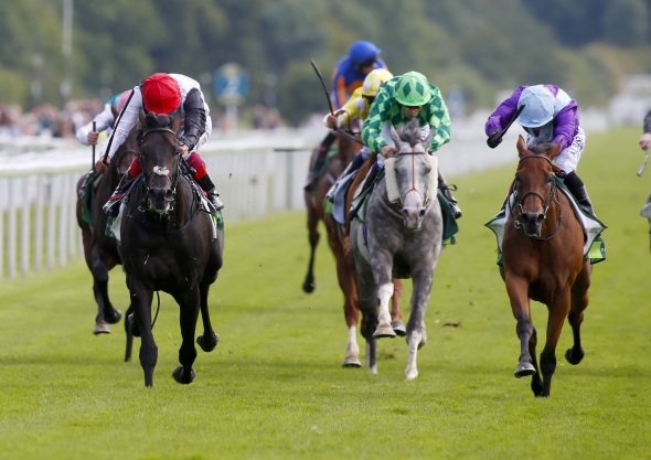 Juddmonte International