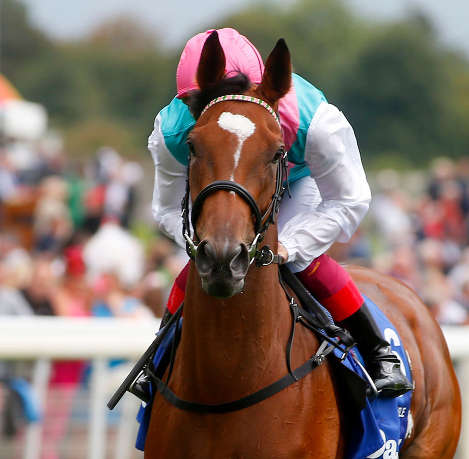 Enable and Frankie Dettori before winning The Darley Yorkshire