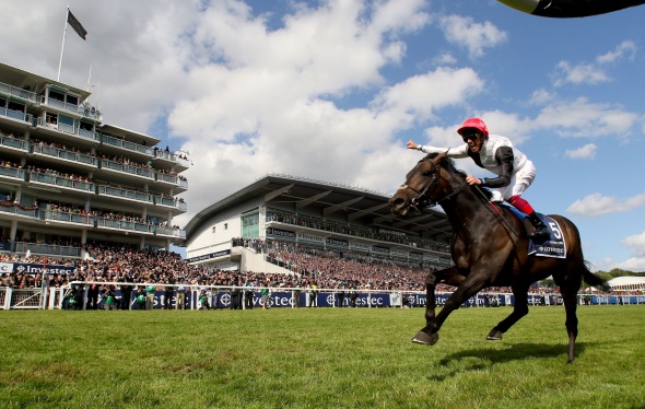 Golden Horn Derby