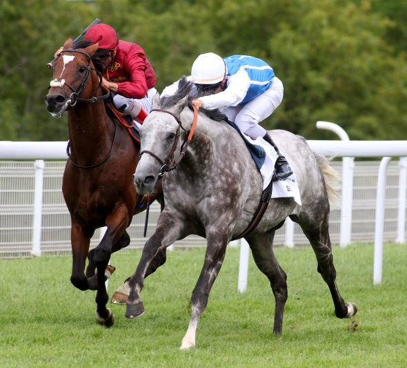 Solow Sussex Stakes