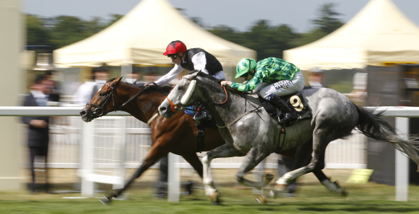 Prince of Wales's Stakes