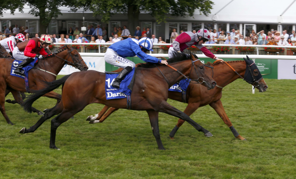July Cup
