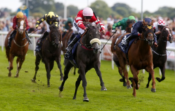 Mecca's Angel Nunthorpe Stakes win