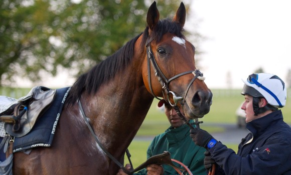 Frankel