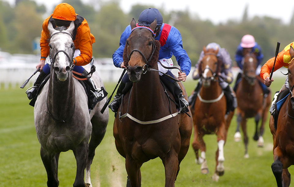 Clever Cookie Betway Yorkshire Cup win