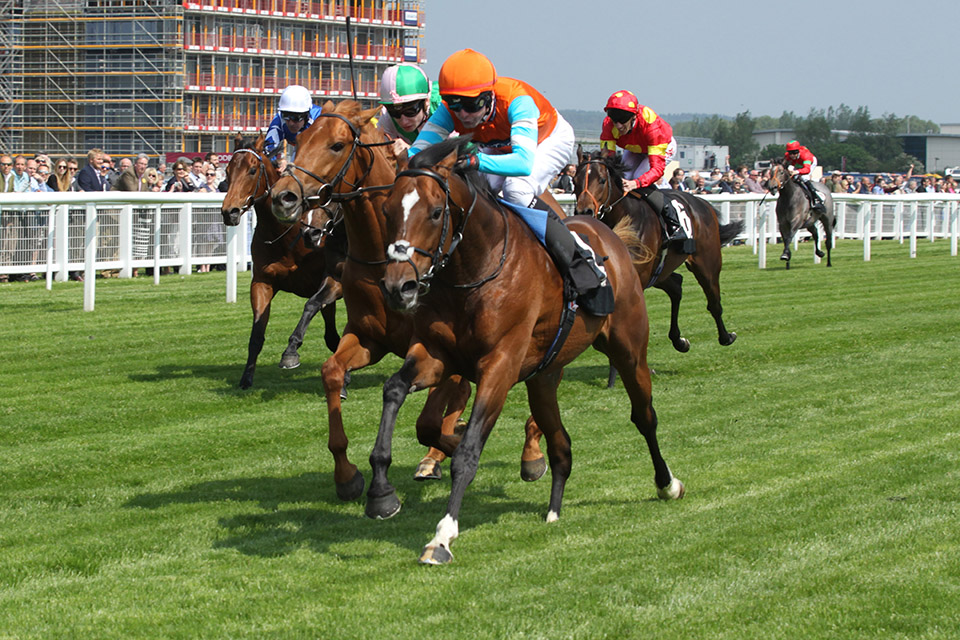 Cunco wins on debut