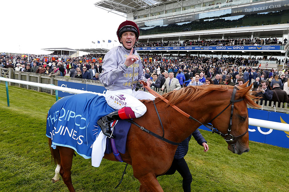 Galileo Gold Derby Twist