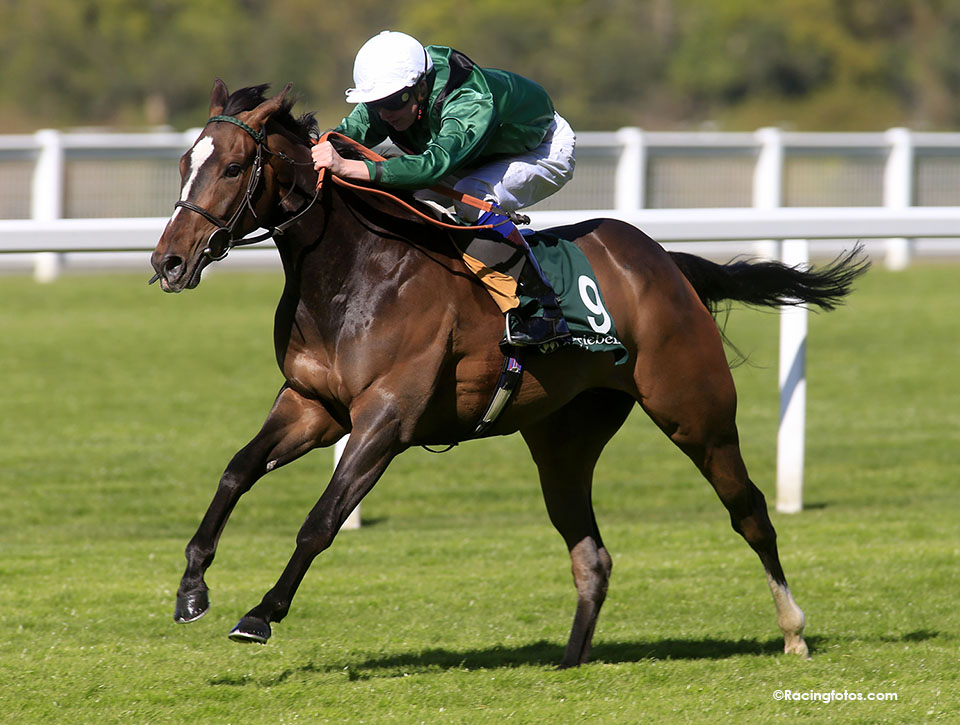Limato Lockinge