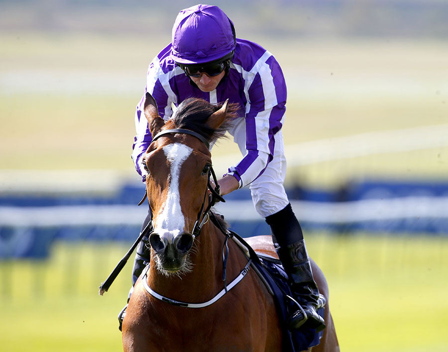 Minding 1000 Guineas win