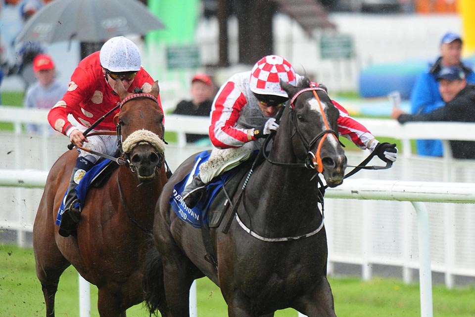 Sole Power Temple Stakes