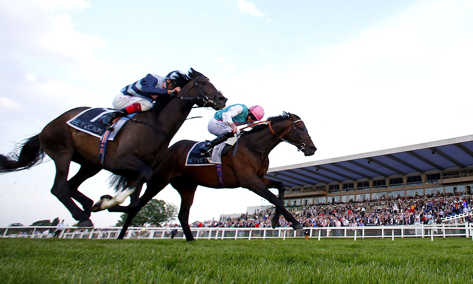 Time Test wins at Sandown