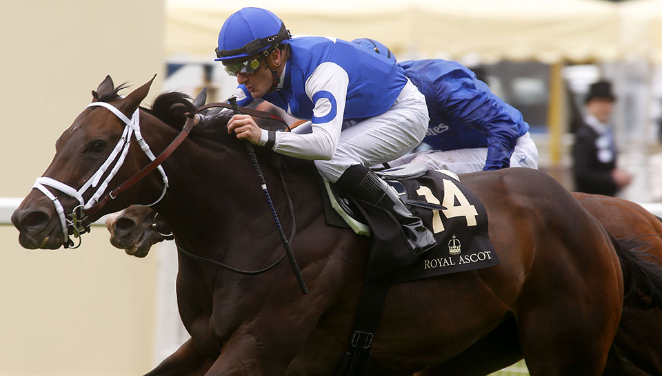 Tepin
