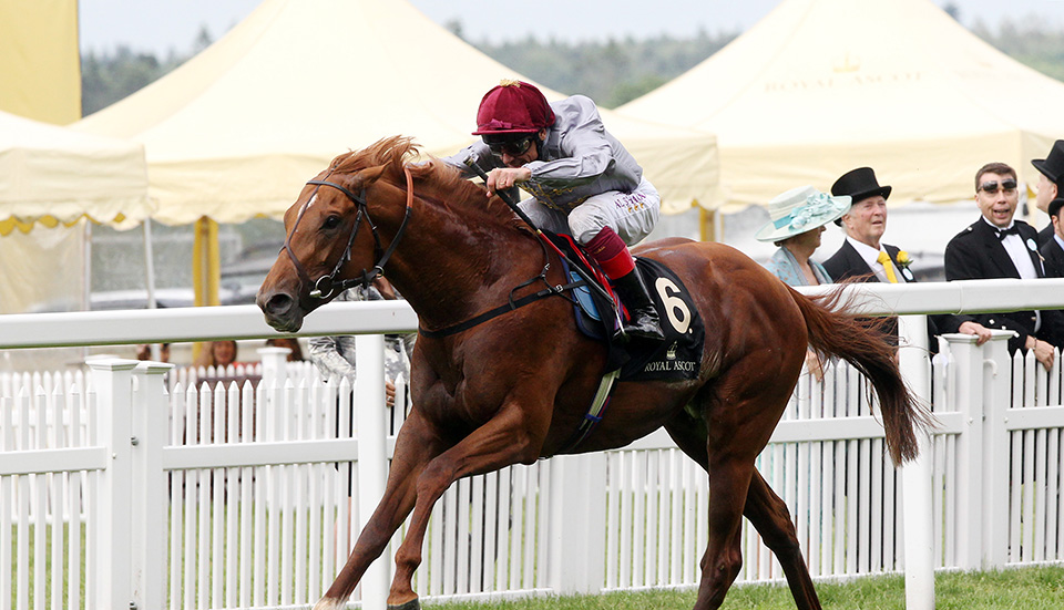 Galileo Gold