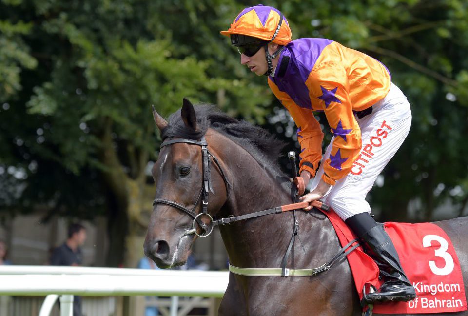 HARBOUR LAW goes for St Leger glory for Laura Mongan
