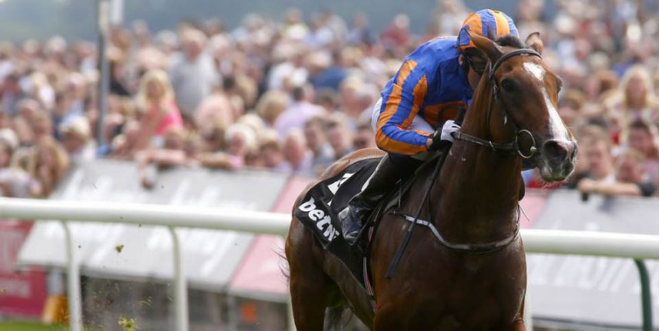 Idaho wins the Great Voltiguer at York.