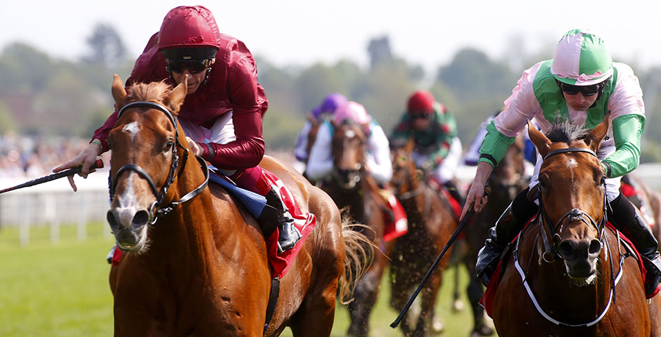 Wings Of Desire and Frankie Dettori