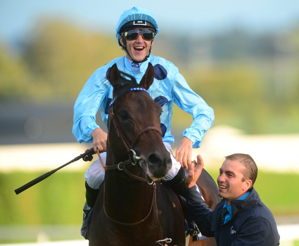 ALMANZOR could head for #ChampionsDay