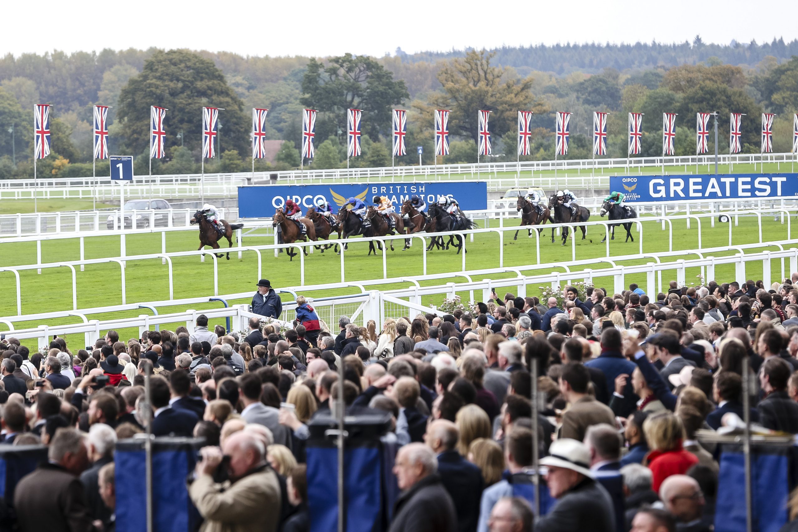 #ChampionsDay Preview evening