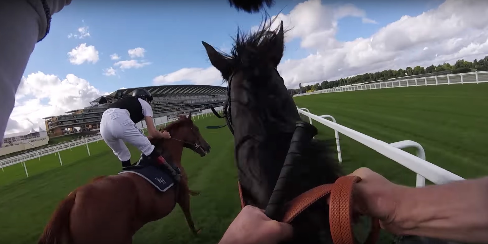 Ryan Moore and Pat Smullen ride the QIPCO Champion Stakes