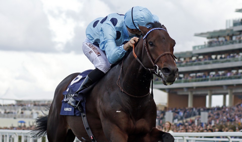 Almanzor 2017 Middle Distance