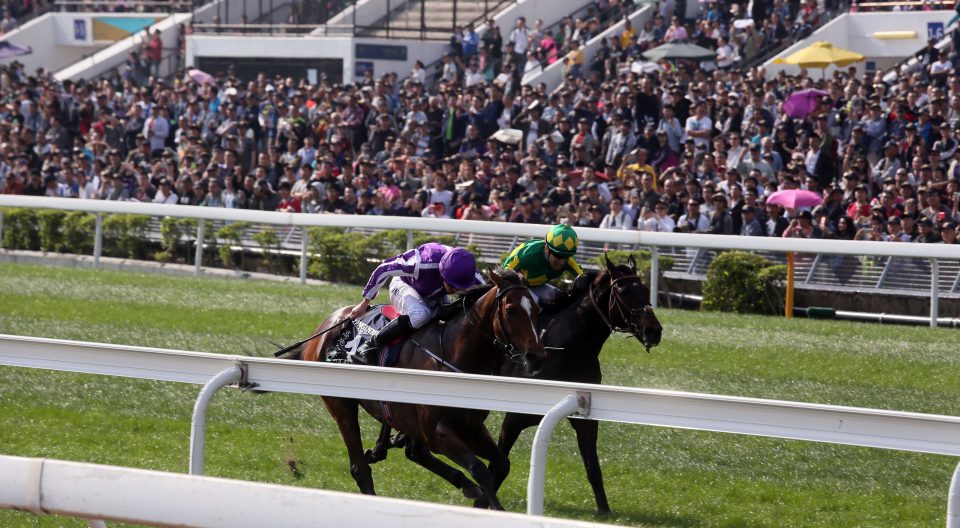 Highland Reel gets beaten a shot head in the Hong King Vase