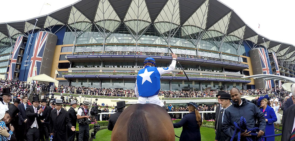 Win tickets to Royal Ascot and you could watch International stars like Tepin race their way to Champions Series Glory