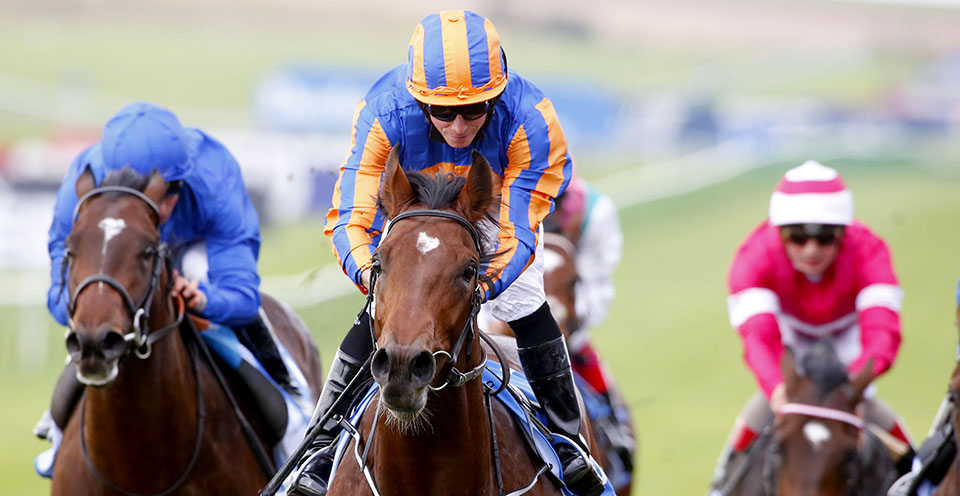 Churchill winnign the Dubai Dewhust Stakes at Newmarket. Now officially the champion two-year-old.