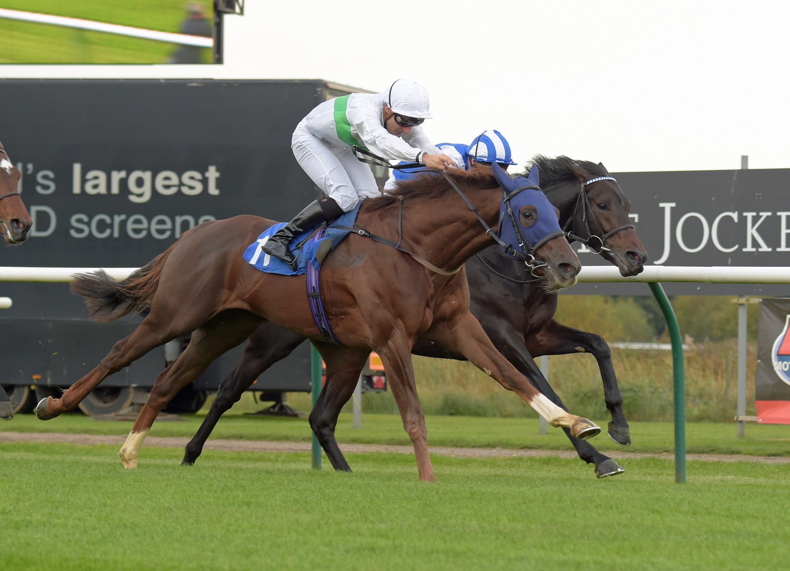 Tartini wins - handicapper pick