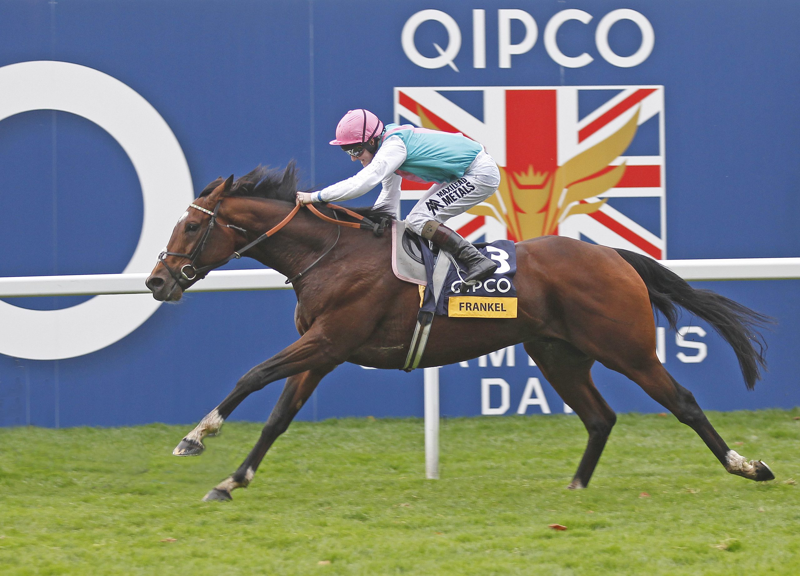 Frankel