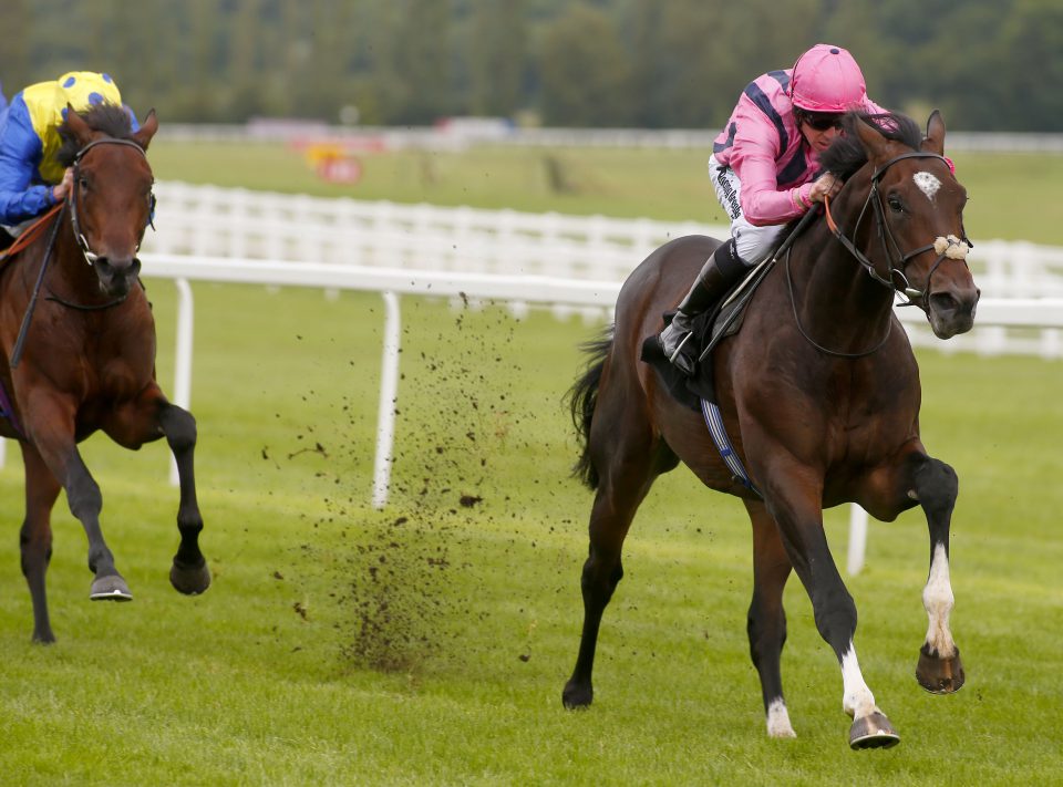 Swiss Storm