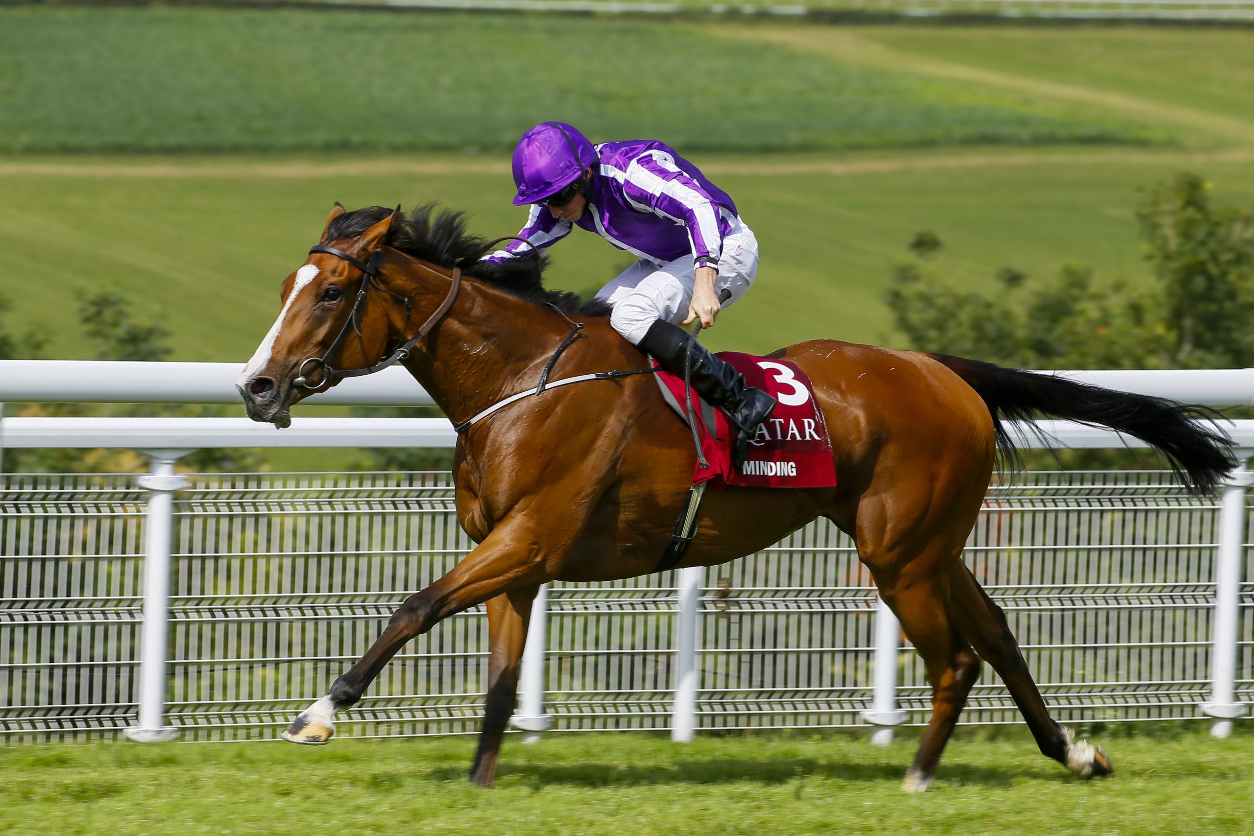 Minding - Mile