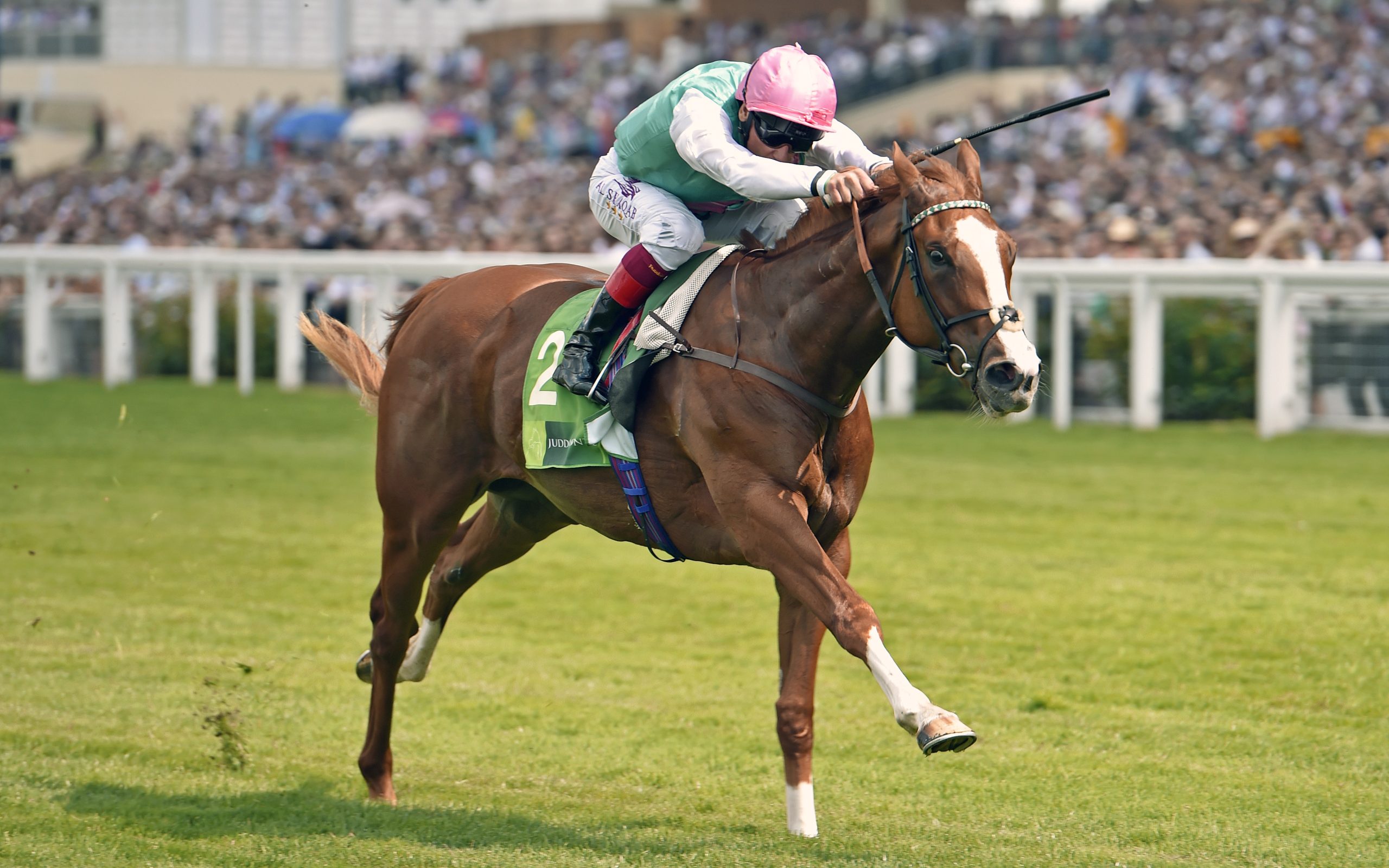 Fair Eva - 1000 Guineas