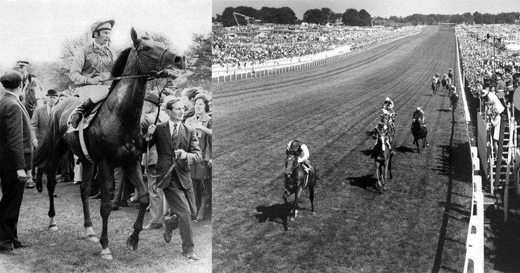 Nijinsky landed the St Leger (left) and the Derby (right) as well as the 2000 Guineas