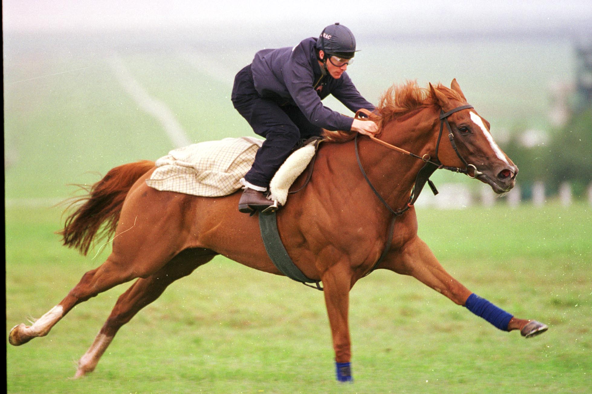 Bosra Sham - 1000 Guineas