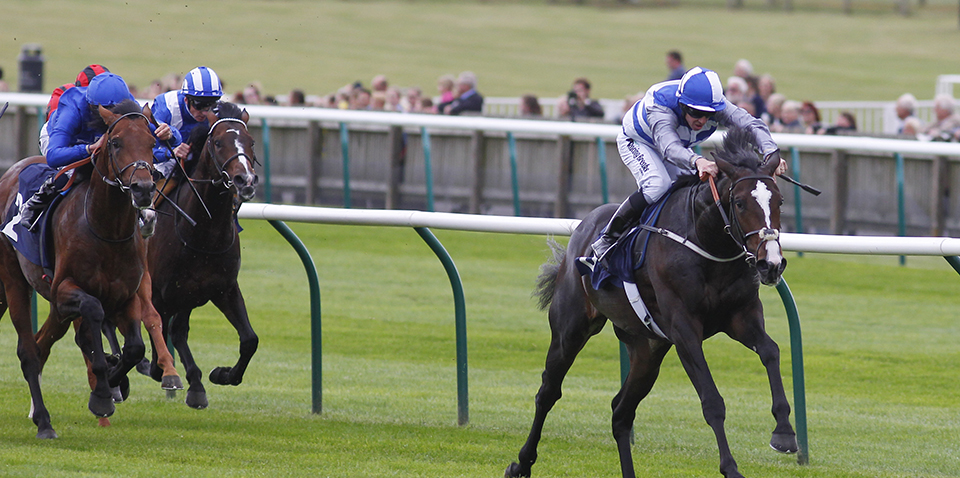 Eminent wins his maiden on the rowley mile