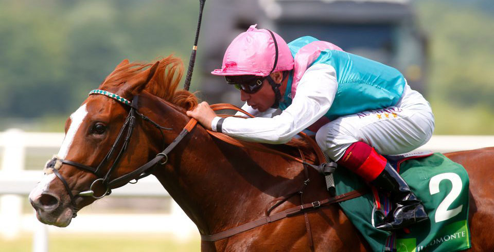Fair Eva heads Roger Charlton's Guineas team