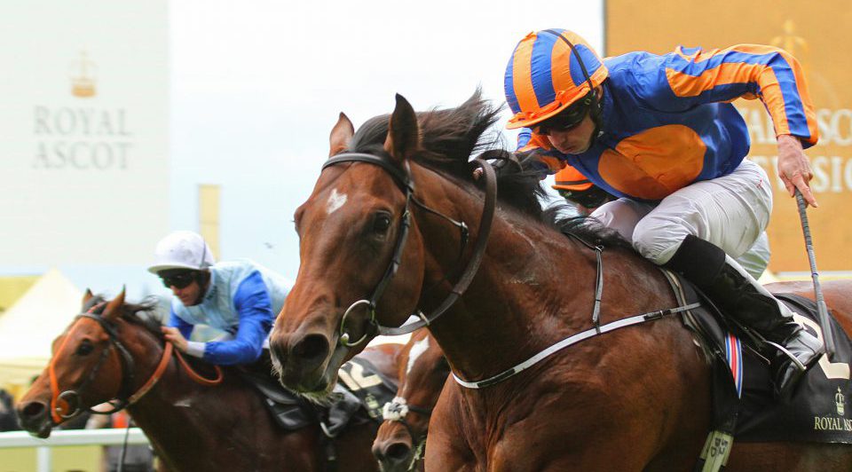 Churchill Aidan O'Brien