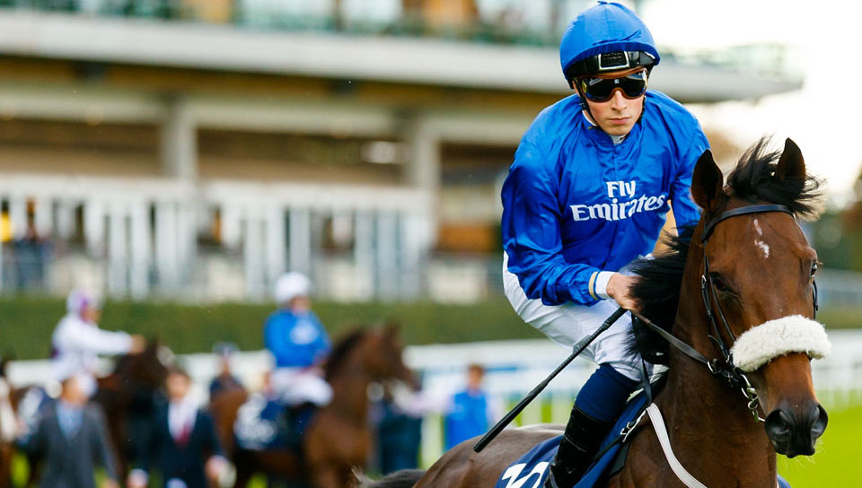 Ribchester Queen Elizabeth II Stakes