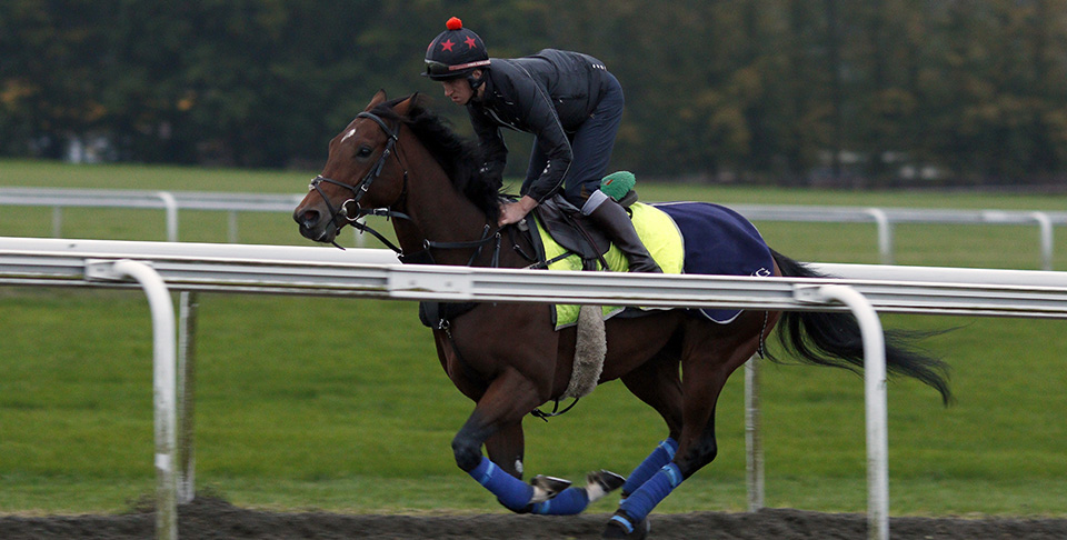 Cracksman prepares for the QIPCO Champion Stakes