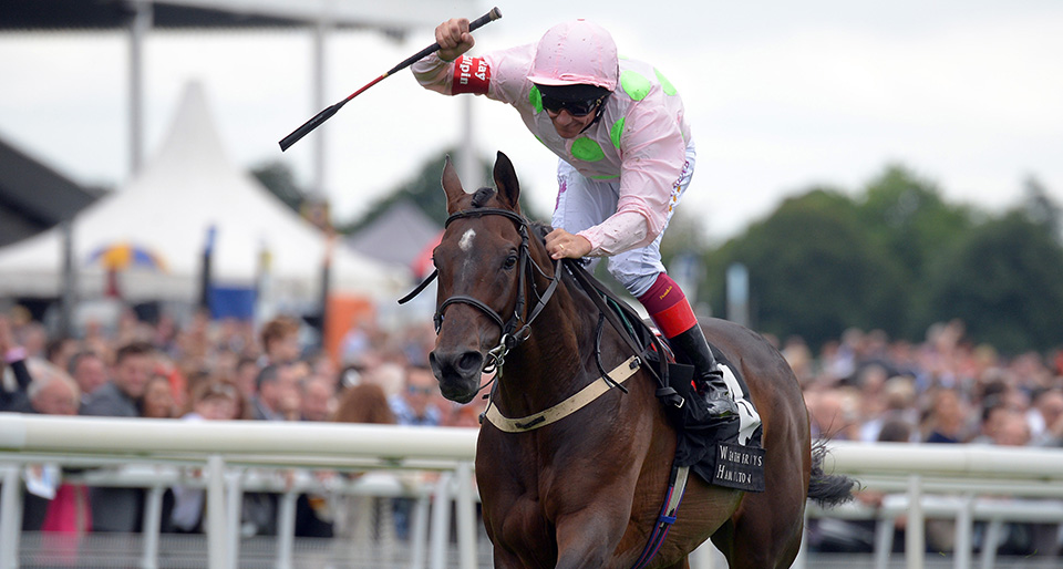 Max Dynamite wins the Lonsdale Cup