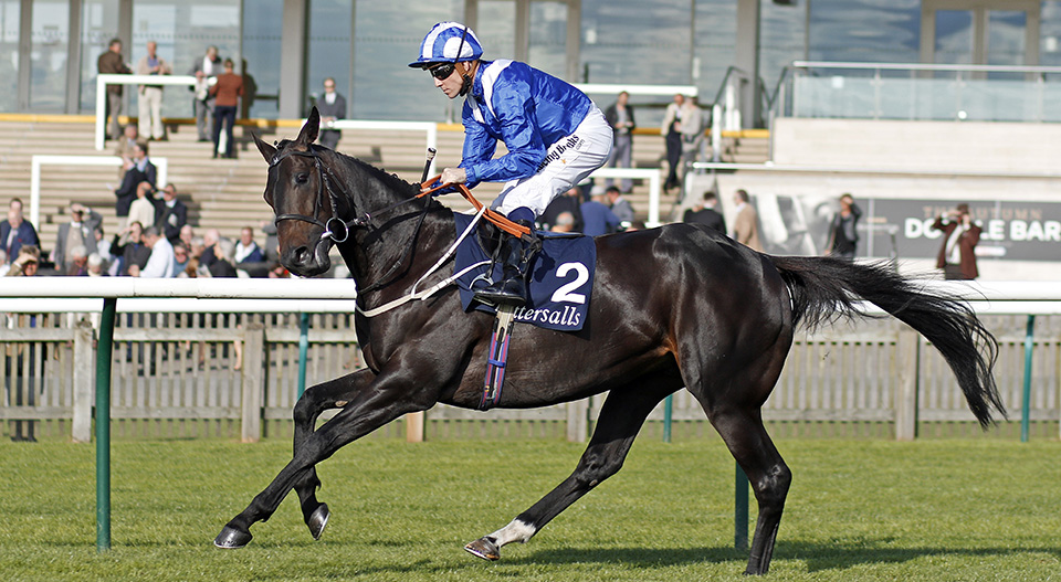 Elarqam QIPCO 2000 Guineas