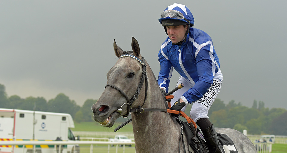 LIBRISA BREEZE could line up in the Al Shaqab Lockinge Stakes