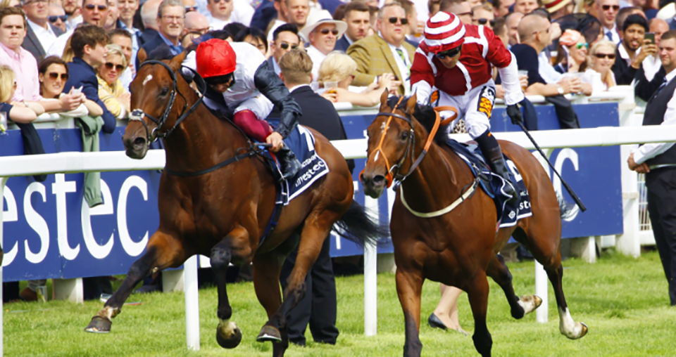 Salouen fights out the finish with Cracksman