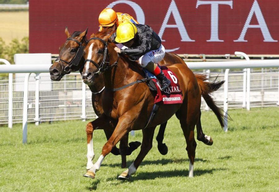 Stradivarius wins the Al Shaqab Goodwood Cup