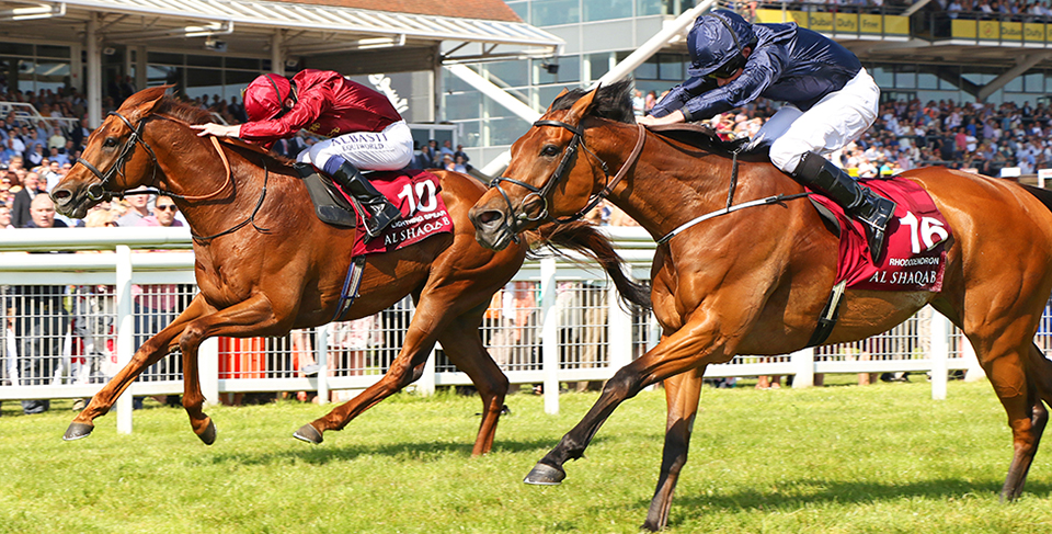 RHODODENDRON (near) ridden by Ryan Moore beating Lightning Spear in The Al Shaqab Lockinge Stakes (Group 1) at Newbury