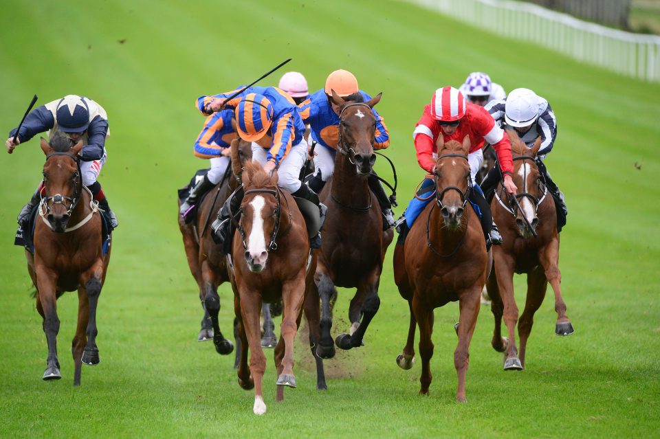 Love wins the QIPCO 2000 Guineas