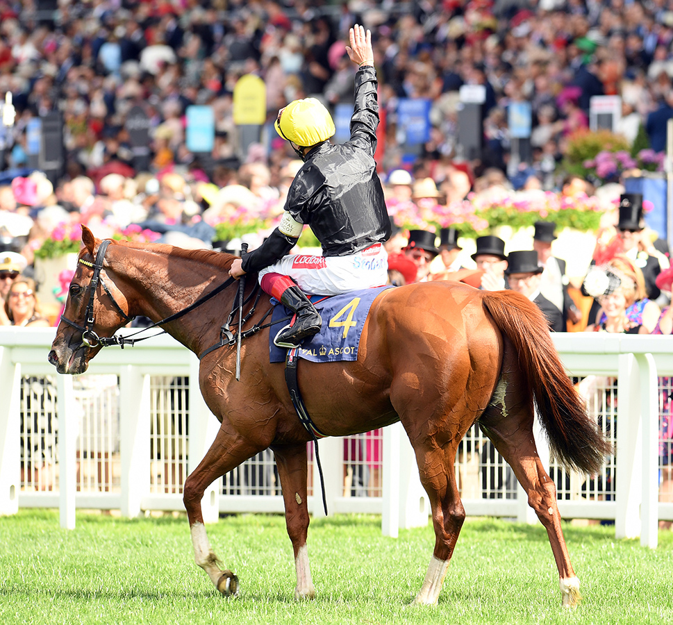 Stradivarius at Royal Ascot