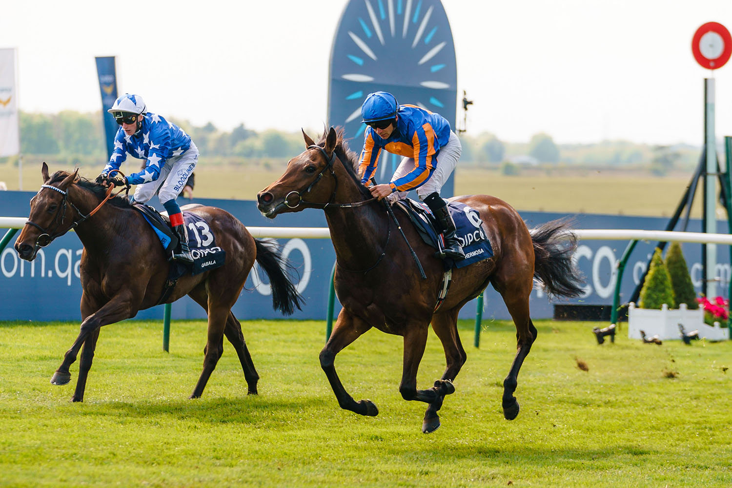 Newmarket 1000 Guineas